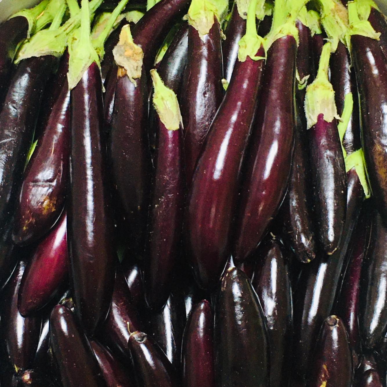 Fresh Eggplant (Small & Long) 1Kg - FilFoods